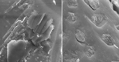 اكتشاف صخرة قبل 93 سنة بالبحيرة