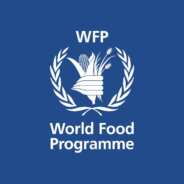 قافلة الأغذية العالمية تعبر لغزة