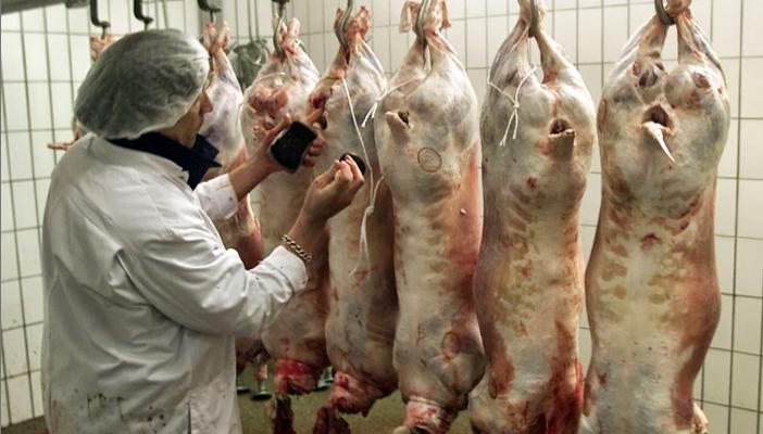 هيئات إسلامية ببلجيكا تدعو لمقاطعة شراء الأضاحي