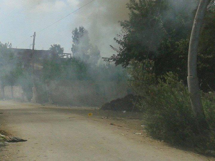 سحب دخان في سماء قرى بلقاس بسبب حرق قش الأرز