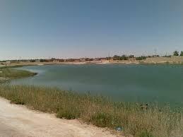 أهالي “نجع سويلم” بأسيوط يفشلون في البحث عن نجلهم