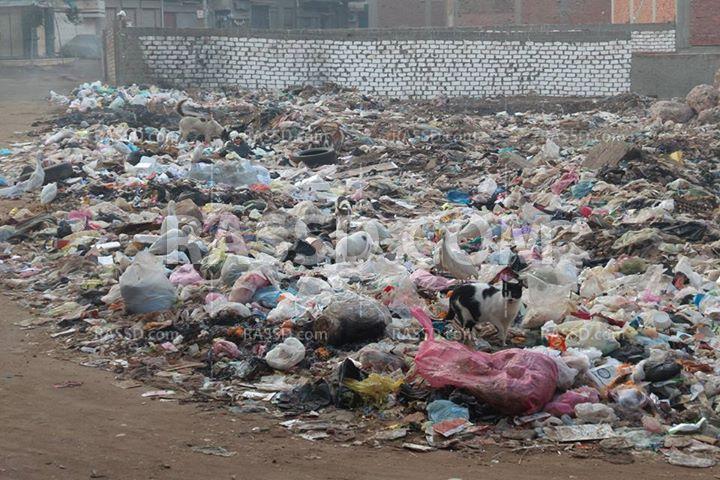 بالمحلة الكبرى.. جمع القمامة فى عهد الانقلاب أمراض وأوبئة