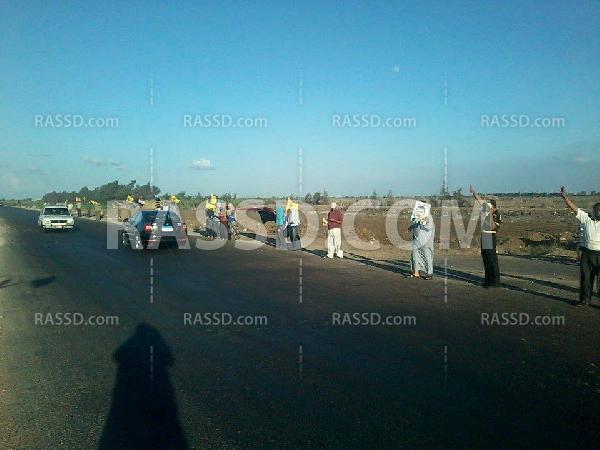 سلسلة لحركة “ضنك” بكفر الشيخ تنديدًا بالوضع الاقتصادي