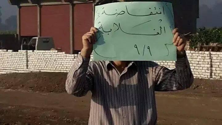 فعاليات لأهالي الفيوم والشرقية والمنوفية في “ثورة الغلابة”