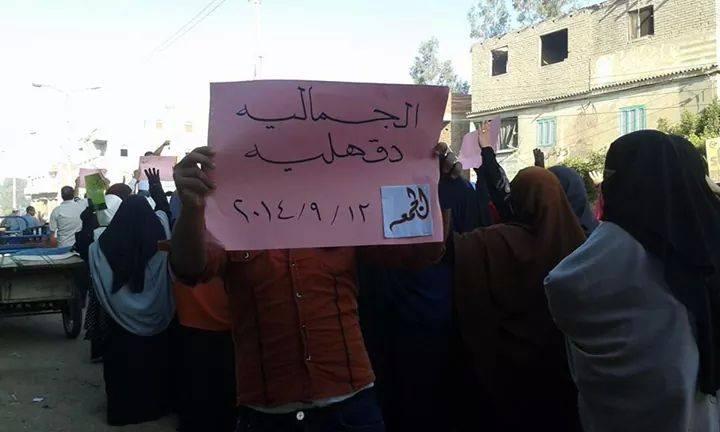 مسيرة حاشدة بالجمالية دقهلية  تنديدًا بالوضع الاقتصادي للبلاد