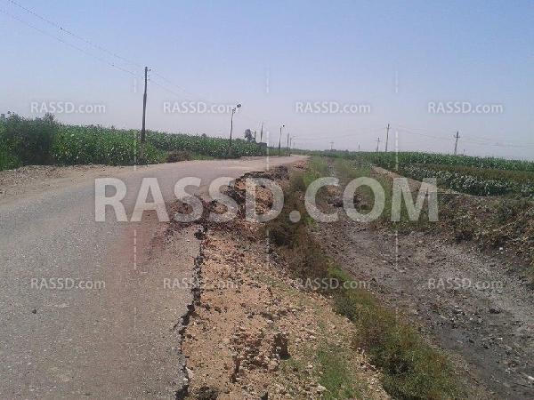 3 الآف فدان بـ”أبو تشت” بقنا مهددة بالبوار