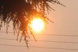 “الأرصاد”: غدًا طقس معتدل الحرارة على السواحل الشمالية