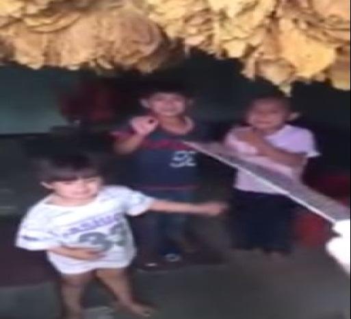 فيديو|لبناني شيعي يهدد أطفال سوريين بالذبح