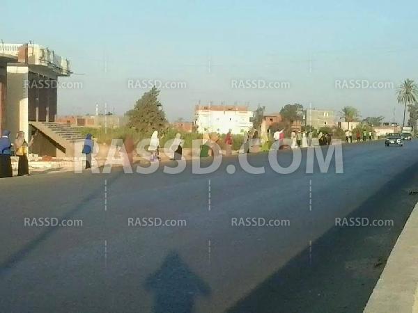 سلسلة بشرية منددة بالأزمات الاقتصادية في البحيرة