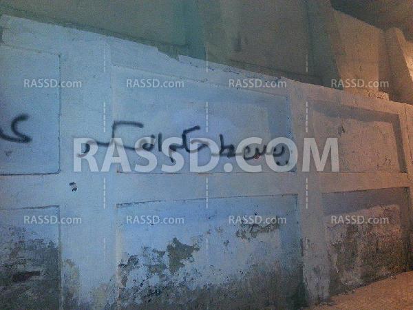 حملة اسبراي بدسوق تنديدًا بالانقلاب العسكري