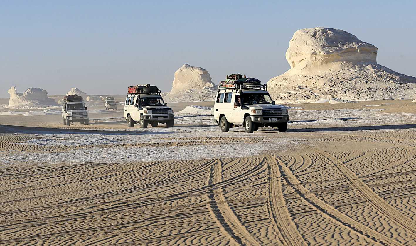 موقع أميركي :  قتل الجيش للمكسيكيين يطرح تساؤلات حول مساعدات واشنطن