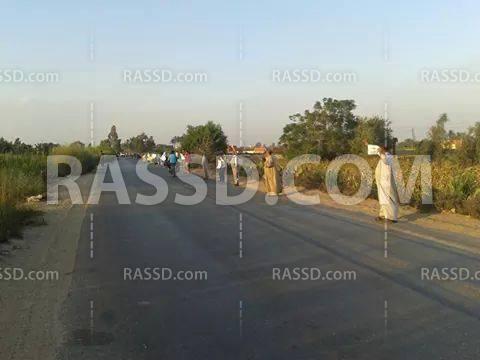 سلسلة بشرية بـ”البحيرة” مطالبة بإسقاط الانقلاب