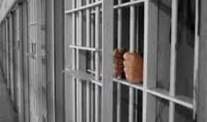 هيئة الدفاع عن معتقلي المنصورة تطالب بتوقيع الكشف الطبي عليهم