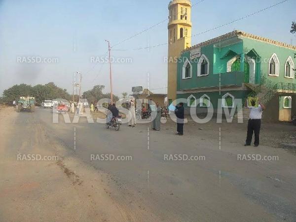 سلسلة بشرية لـ”تحالف دعم الشرعية” في المنوفية