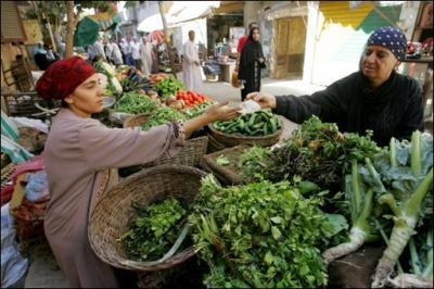 عرض حكومة الانقلاب اليوم..”نص جنيه” تخفيض على الخضروات!