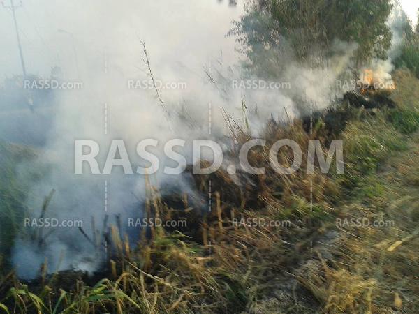 حالات اختناق كبيرة بقرى الدقهلية بسبب حرق قش الأرز