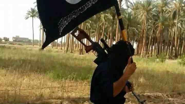 وورلد تريبيون: “الدولة الإسلامية”يستخدم أسلحة أمريكية