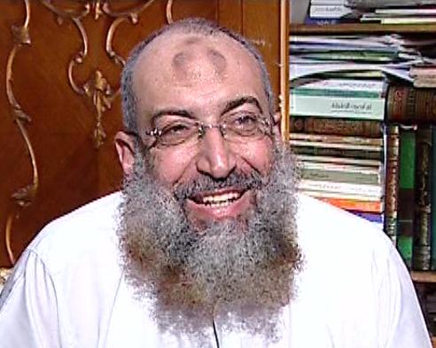 الدعوة السلفية تطلق قناة لنقل الصورة الصحيحة عنها