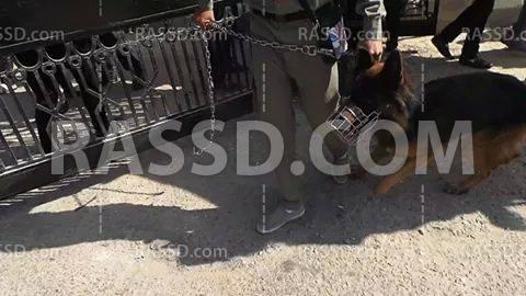 صور| الاعتداء على تظاهرة بجامعة “مصر للعلوم” بالكلاب البوليسية