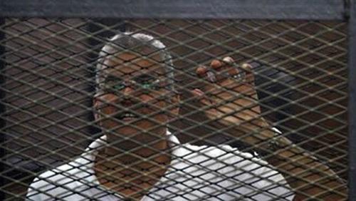 اليوم.. استئناف محاكمة عصام سلطان في “سب الزند”