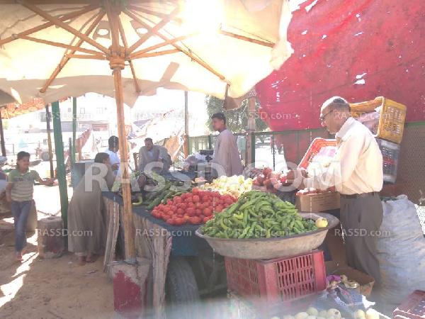جنون الأسعار كجنون الأبقار بالوادي الجديد