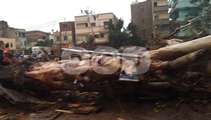 بالفيديو.. إعصار دمياط يقتلع الأشجار والسيارات