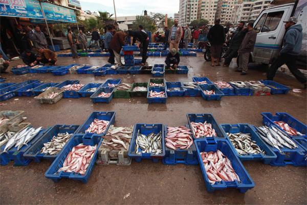 تصدير منتجات غزة إلى الضفة ينعش آمال الفلسطينيين بوحدة اقتصادية