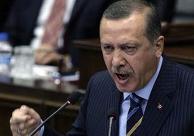 أردوغان: لن تستطيع قوة بالعالم الوقوف في وجه تركيا