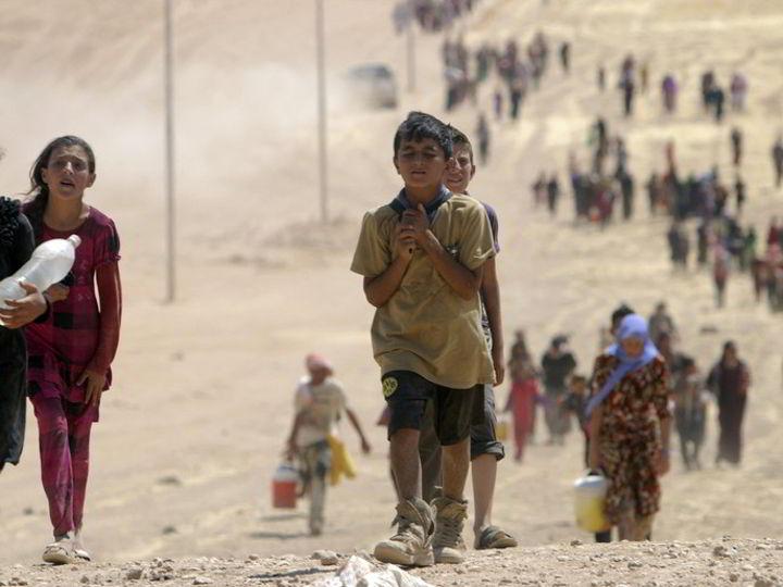 الإندبندنت: 300 ألف إيزيدي يخشون الأسوأ بسبب تنظيم الدولة