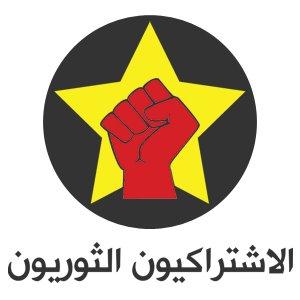 فيديو.. الاشتراكيون الثوريون: السيسي يحارب الثورة وليس الإرهاب
