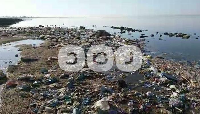 بالصور.. القمامة تسيطر على بحيرة قارون والثروة السمكية مهددة بالانقراض