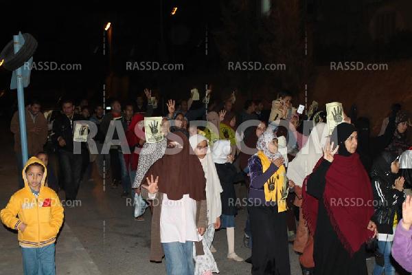 العشرات يتظاهرون في الشيخ زايد رفضا للإنقلاب