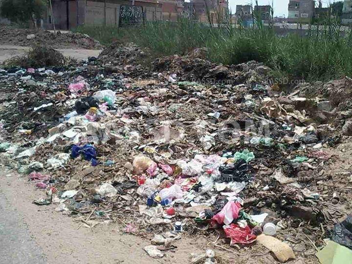 صور| الدقهلية تغرق في مياه الصرف والقمامة.. والمسئولون لا يرون