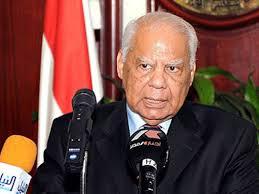 الببلاوي يطالب متظاهري 30 يونيو بالنزول للاستفتاء