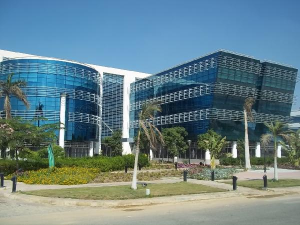 الدولار يصل لسعر قياسي أمام الجنيه