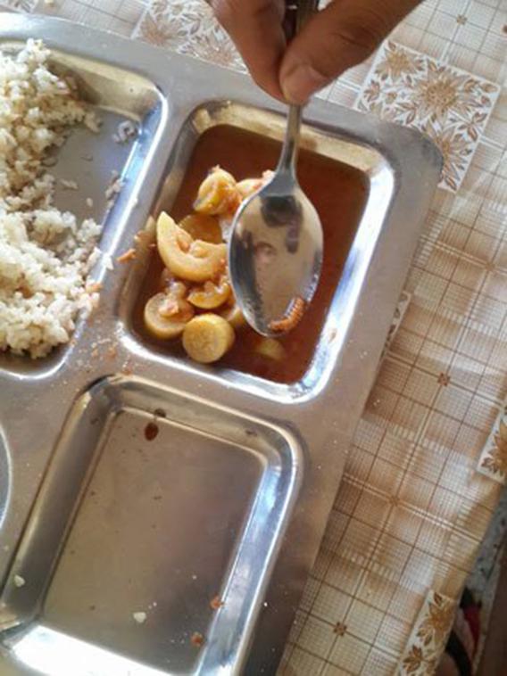 بالصور.. كوسة بالديدان في وجبة طلبة المدينة الجامعية بالإسكندرية