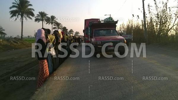 سلسلة بشرية لـ”شباب ضد الانقلاب” في القليوبية