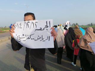 كفر الشيخ تنتفض في أسبوع “معا نكمل ثورتنا”