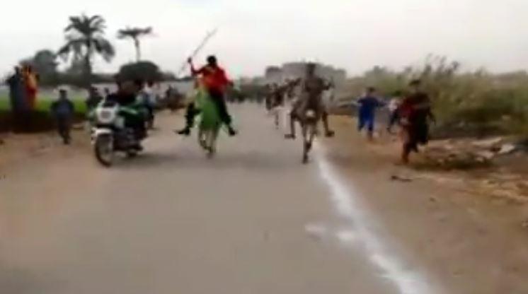 بالفيديو| أول ماراثون للحمير بمصر