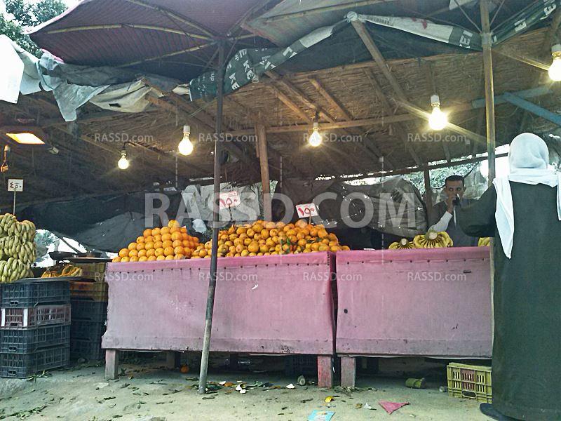 بالصور| سرقة الكهرباء في وضح النهار.. والمواطنون يدفعون الثمن