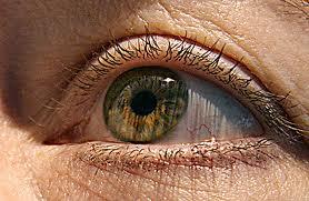 أمل جديد لفاقدي البصر