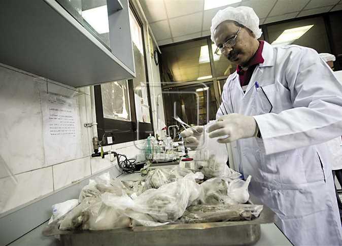 “الصناعة” ترفع  رسوم التحاليل والاختبارات بمصلحة الكيمياء 13%