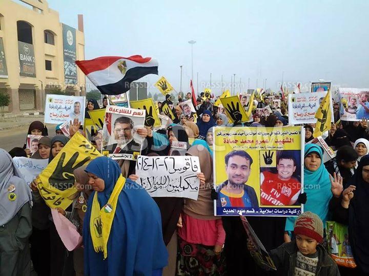 بالصور| فعاليات بالشرقية بأسبوع “مكملين والله مولانا”