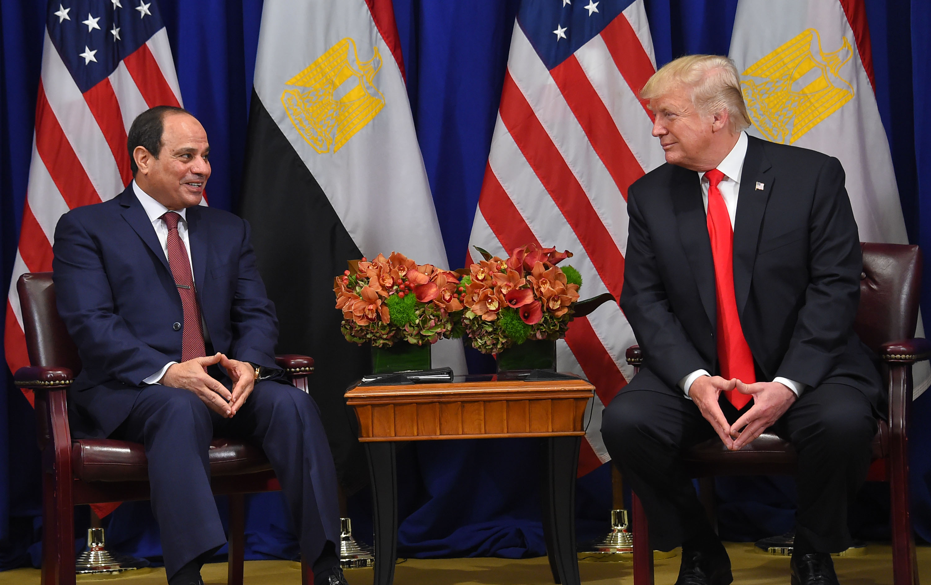 Trump to mediate Grand Ethiopian Renaissance Dam dispute with Egypt