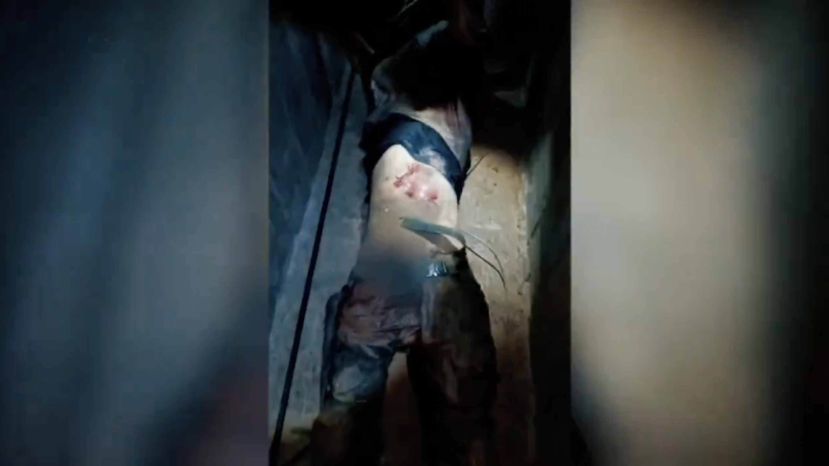 أبو عبيدة أسر جنود